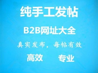 智能代發(fā)品牌宣傳廣告服務 天津網(wǎng)站建設(shè)與網(wǎng)絡(luò)信息技術(shù)推廣新篇章